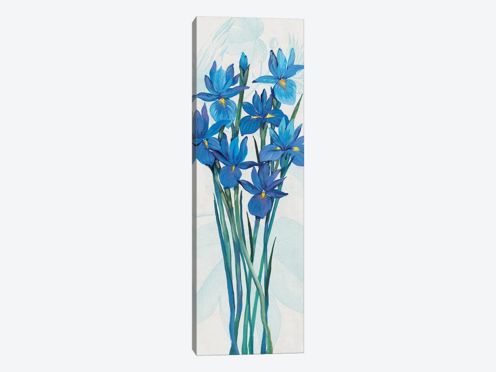 Blue Iris Panel II by Tim OToole 1-piece Canvas Wall Art