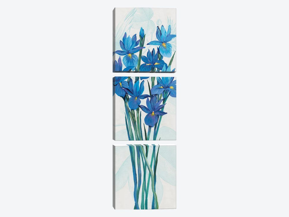 Blue Iris Panel II by Tim OToole 3-piece Canvas Wall Art