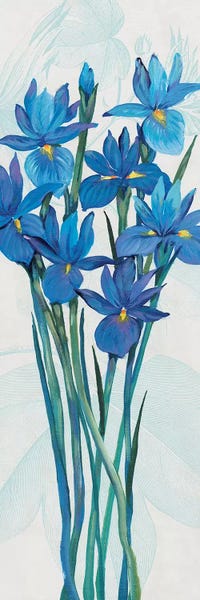 Irises: Blue Iris Panel II by Tim O'Toole