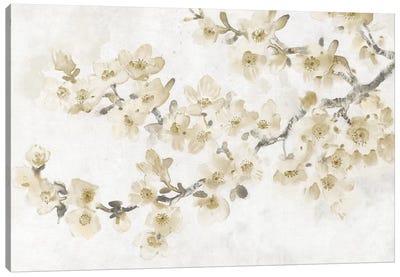Neutral Cherry Blossom Composition I Canvas Art Print - Tim O'Toole