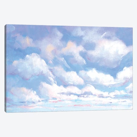 Sky High I Canvas Print #TOT648} by Tim OToole Canvas Print