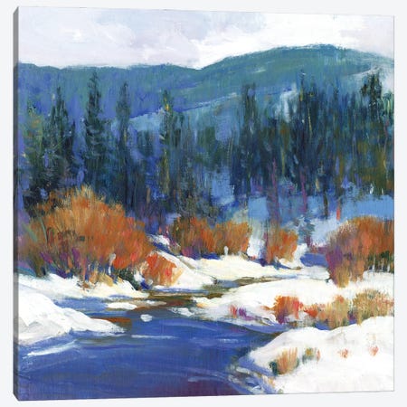Mountain Creek I Canvas Print #TOT653} by Tim OToole Canvas Wall Art