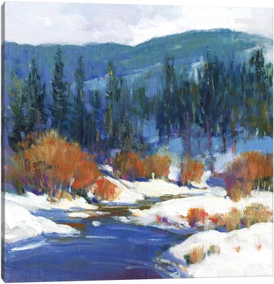 Mountain Creek I Canvas Art Print - Snowscape Art