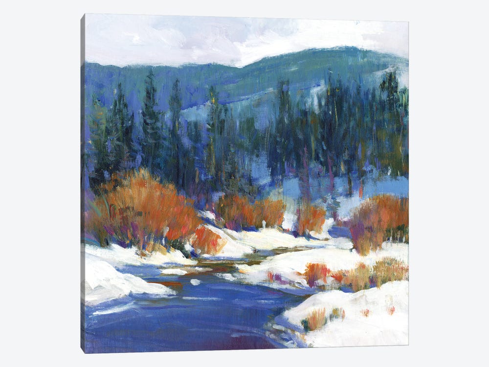 Mountain Creek I by Tim OToole 1-piece Canvas Print