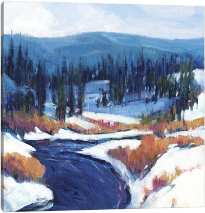 Mountain Creek II Canvas Art Print - Rustic Décor