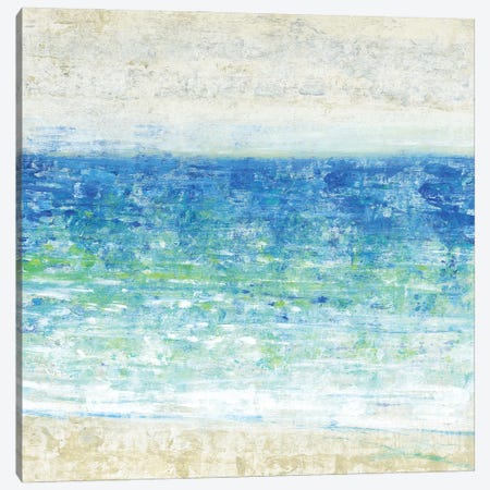 Ocean Impressions II Canvas Print #TOT658} by Tim OToole Canvas Artwork