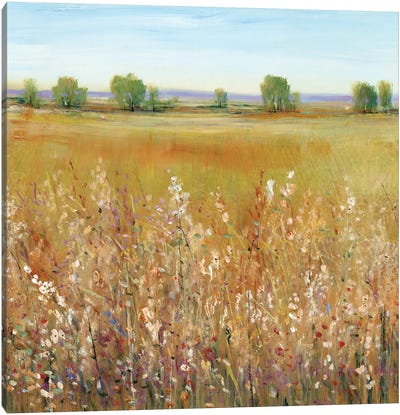 Abundance of Wildflowers I Canvas Art Print - Tim O'Toole
