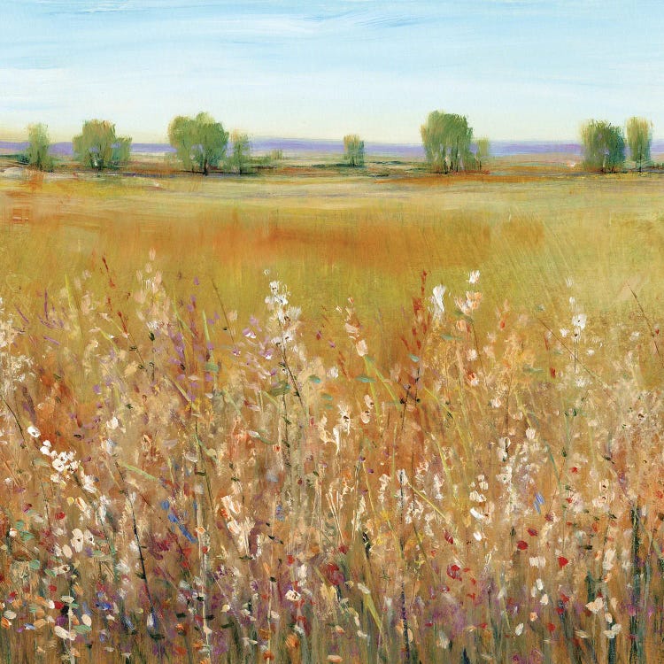 Abundance of Wildflowers I