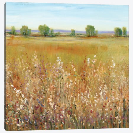 Abundance of Wildflowers I Canvas Print #TOT661} by Tim OToole Canvas Print