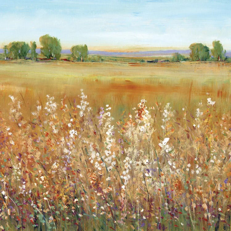 Abundance of Wildflowers II