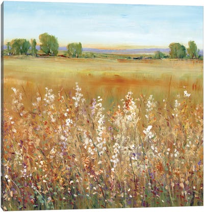 Abundance of Wildflowers II Canvas Art Print - Tim O'Toole