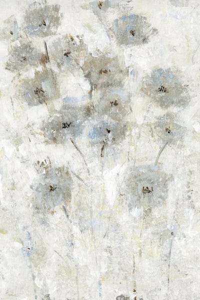 Abstract Floral & Botanical: Early Bloom II by Tim O'Toole