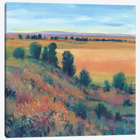 Hilltop View I Canvas Print #TOT669} by Tim OToole Canvas Art Print