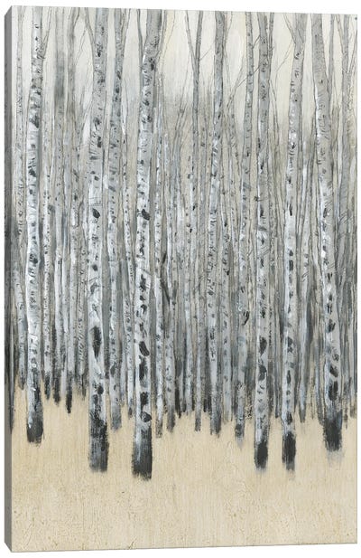 Neutral Aspen I Canvas Art Print - Aspen Tree Art