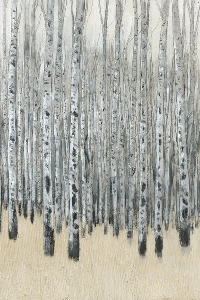 Aspen Trees: Neutral Aspen I by Tim O'Toole