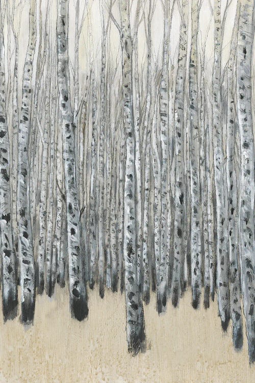 Neutral Aspen II by Tim OToole wall art