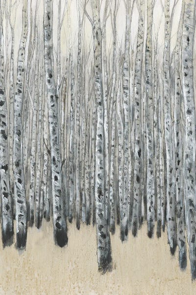 Aspen Trees: Neutral Aspen II by Tim O'Toole