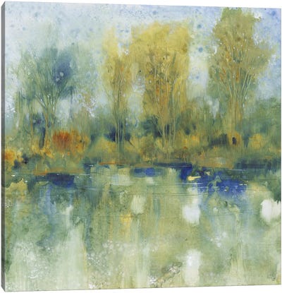 Pond Reflection I Canvas Art Print - Pond Art