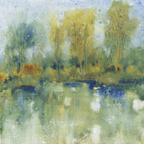 Ponds: Pond Reflection I by Tim O'Toole