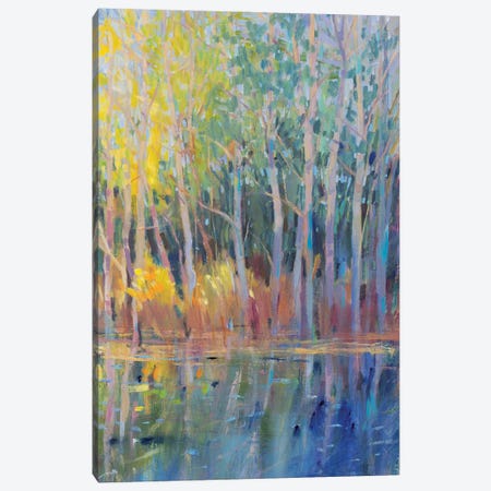 Reflected Trees I Canvas Print #TOT683} by Tim OToole Canvas Art Print