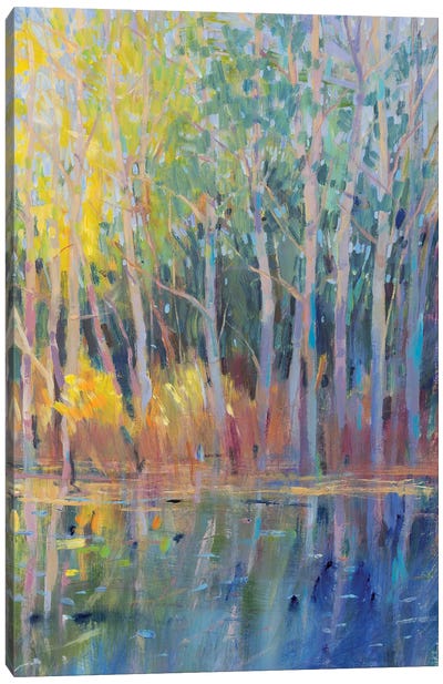 Reflected Trees I Canvas Art Print - Tim O'Toole