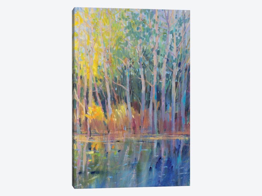 Reflected Trees I by Tim OToole 1-piece Canvas Wall Art