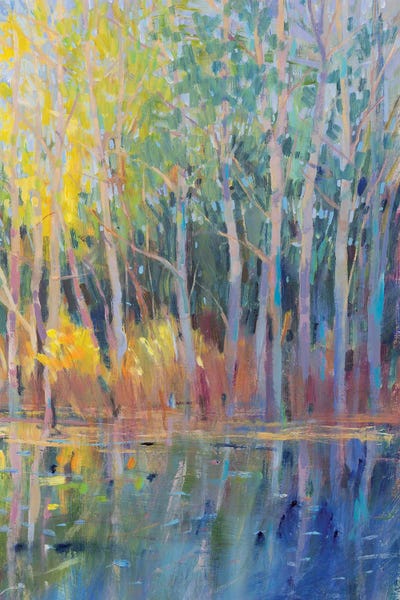 Ponds: Reflected Trees I by Tim O'Toole