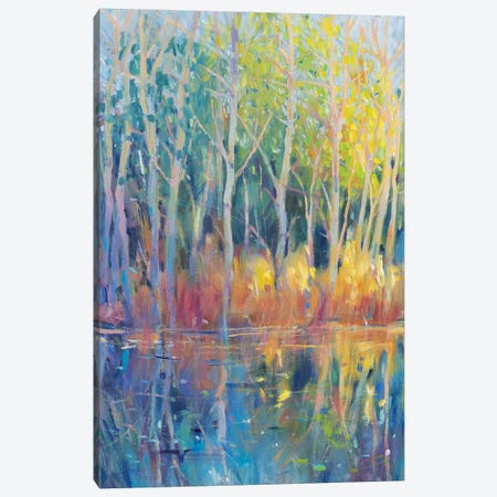 Reflected Trees II Canvas Print #TOT684} by Tim OToole Canvas Wall Art