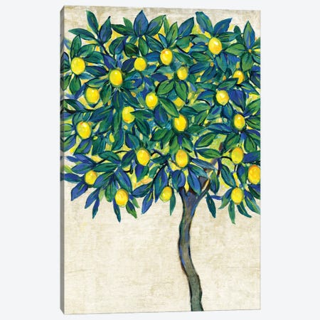 Lemon Tree Composition I Canvas Print #TOT693} by Tim OToole Canvas Art