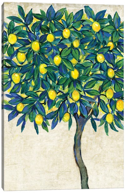 Lemon Tree Composition I Canvas Art Print - Lemon & Lime Art