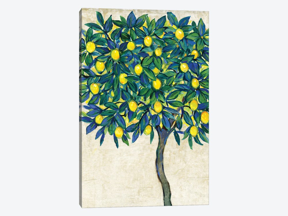 Lemon Tree Composition I by Tim OToole 1-piece Canvas Art Print