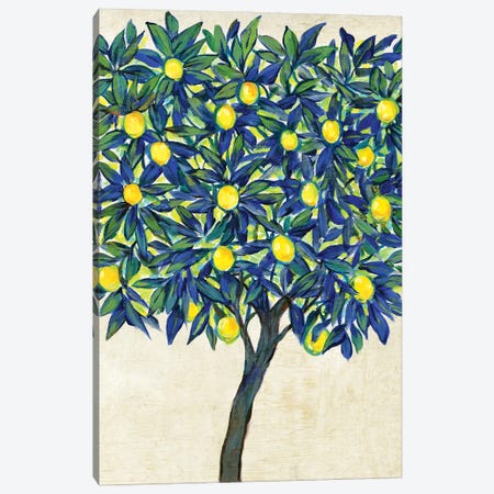Lemon Tree Composition II Canvas Print #TOT694} by Tim OToole Canvas Art Print