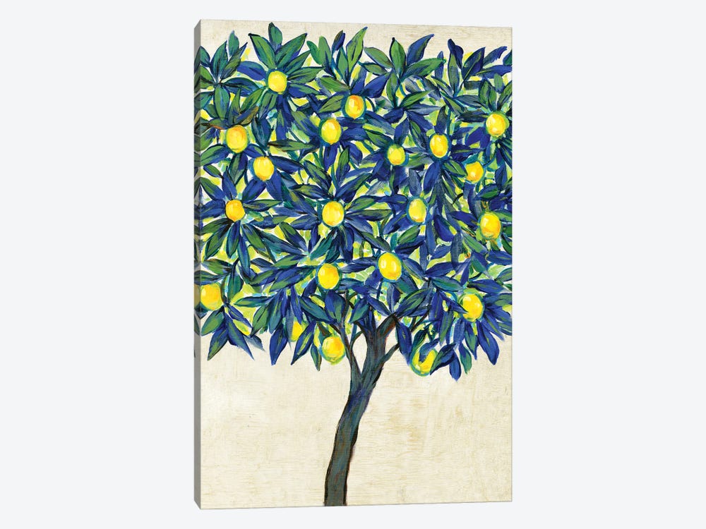 Lemon Tree Composition II by Tim OToole 1-piece Canvas Art