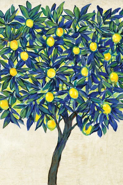 Mediterranean Décor: Lemon Tree Composition II by Tim O'Toole