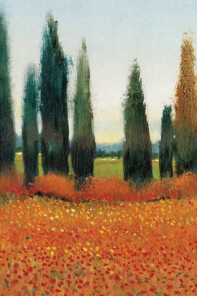 Countrysides: Cypress Trees I by Tim O'Toole