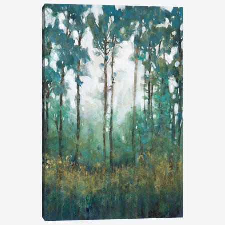 Glow in the Forest I Canvas Print #TOT707} by Tim OToole Canvas Art Print