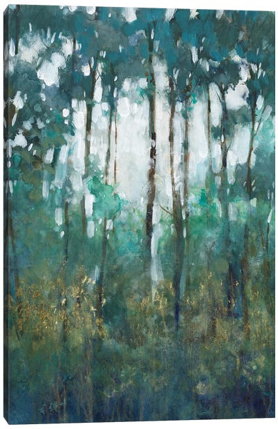 Glow in the Forest II Canvas Art Print - Tim O'Toole