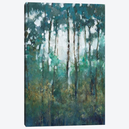 Glow in the Forest II Canvas Print #TOT708} by Tim OToole Canvas Art