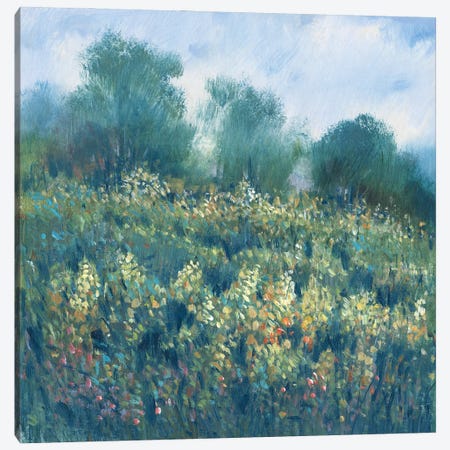 Meadow Wildflowers I Canvas Print #TOT711} by Tim OToole Canvas Art Print