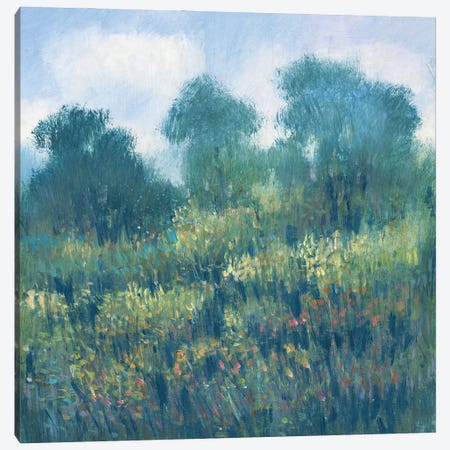 Meadow Wildflowers II Canvas Print #TOT712} by Tim OToole Canvas Print