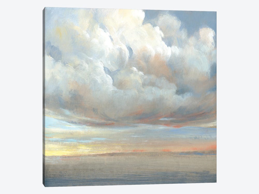 Passing Storm I by Tim OToole 1-piece Canvas Wall Art
