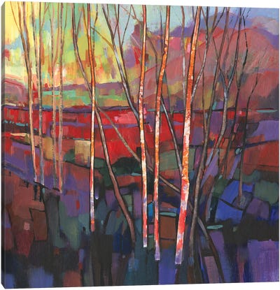 Patchwork Trees I Canvas Art Print - Tim O'Toole