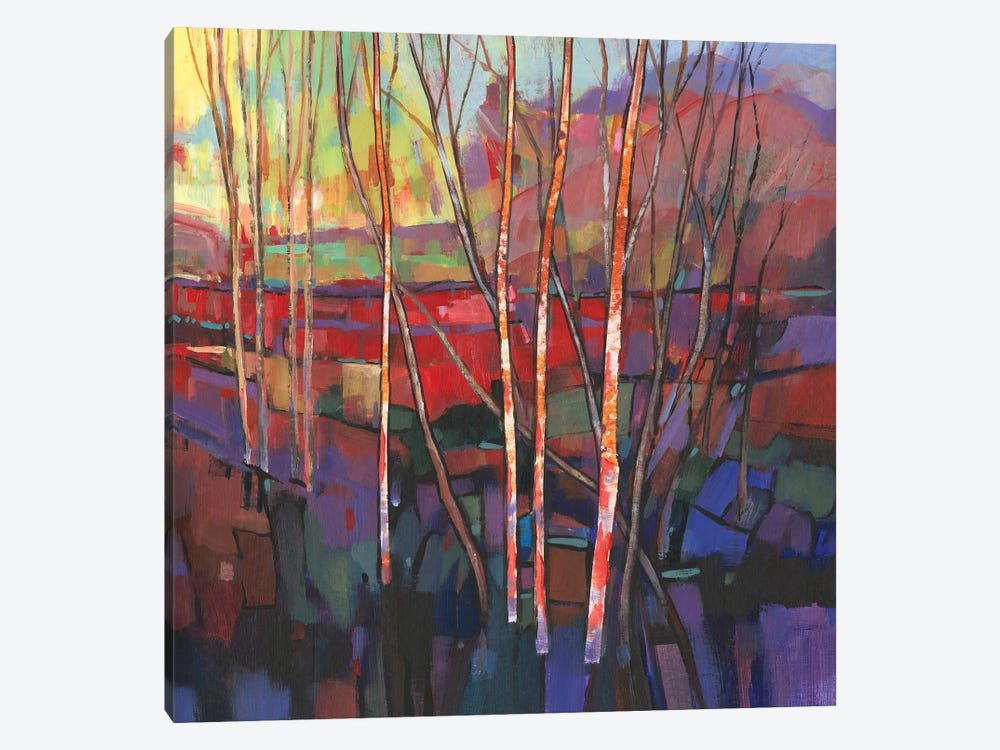Patchwork Trees I by Tim OToole 1-piece Canvas Artwork