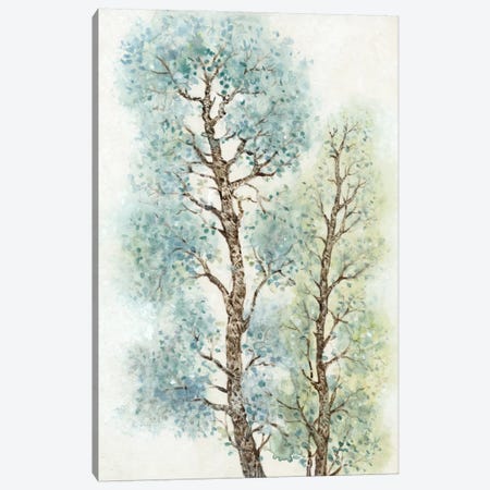 Tranquil Tree Tops I Canvas Print #TOT71} by Tim OToole Canvas Art