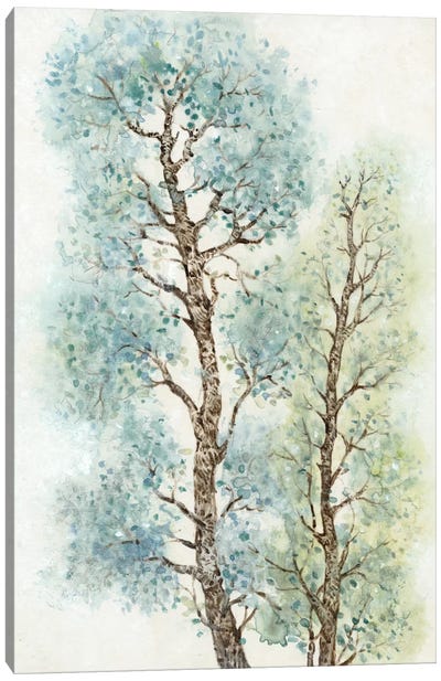Tranquil Tree Tops I Canvas Art Print - Tim O'Toole