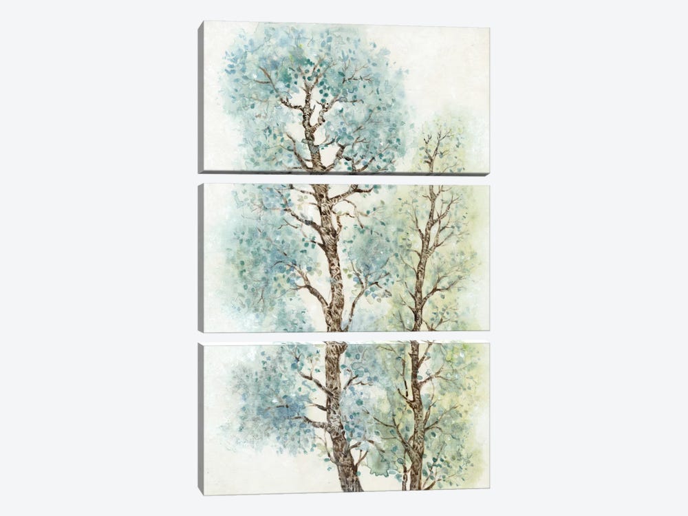 Tranquil Tree Tops I by Tim OToole 3-piece Art Print