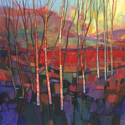 Patchwork Trees II by Tim O'Toole framed wall art