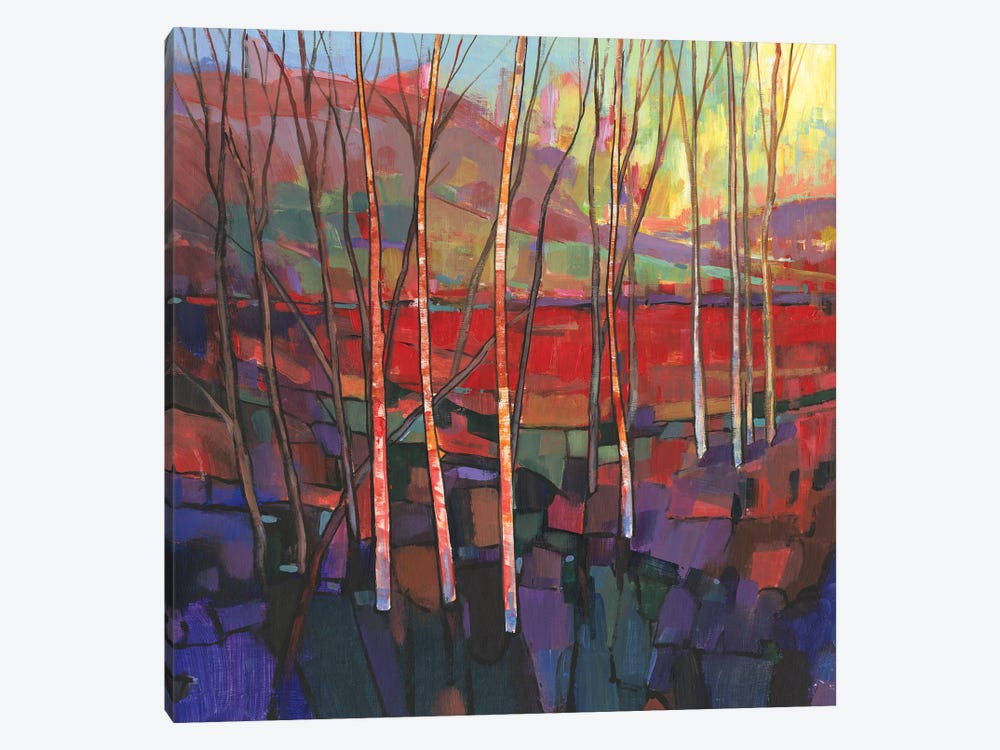 Patchwork Trees II by Tim OToole 1-piece Canvas Art