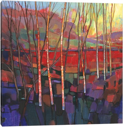 Patchwork Trees II Canvas Art Print - Tim O'Toole