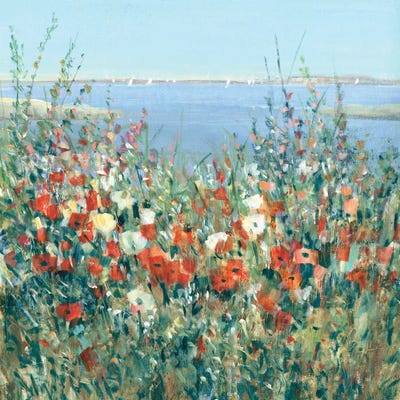 Seaside Garden II by Tim O'Toole framed canvas print
